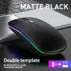 RGB Wireless Backlit Mouse