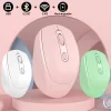 Wireless Silent Business Mouse